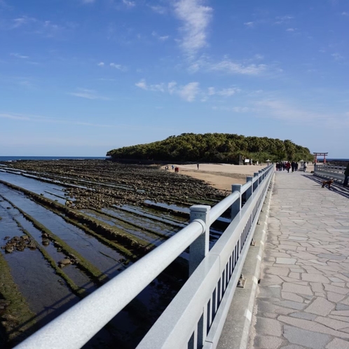 【弥生橋から見た青島】