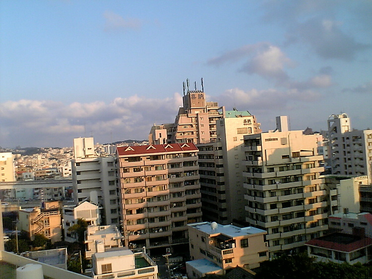 写真7