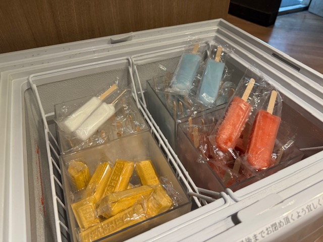 【5％OFF】【楽天スーパーSALE】【素泊り】22時間ステイプラン【15時イン-13時アウト】