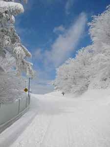 【リフト2日券付】上の原エリア直結のロッヂサノ！アフタースキーは選べる自慢の夕食♪1泊2食
