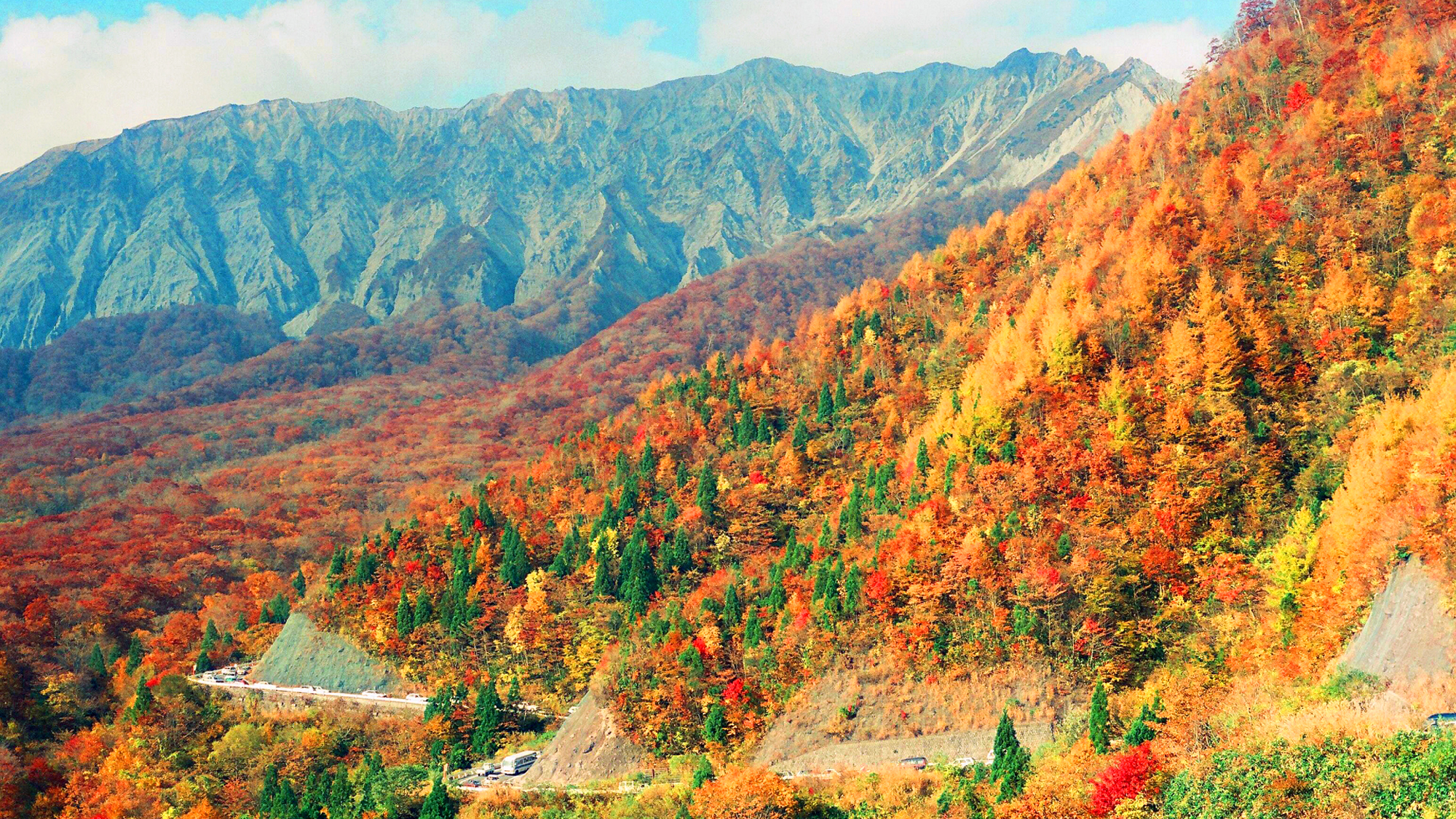 紅葉のシーズンがやってきました。