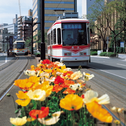 A retro tram running through Kagoshima city