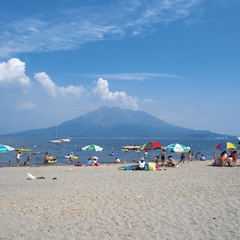 夏になると多くのご家族で賑わう磯海水浴場