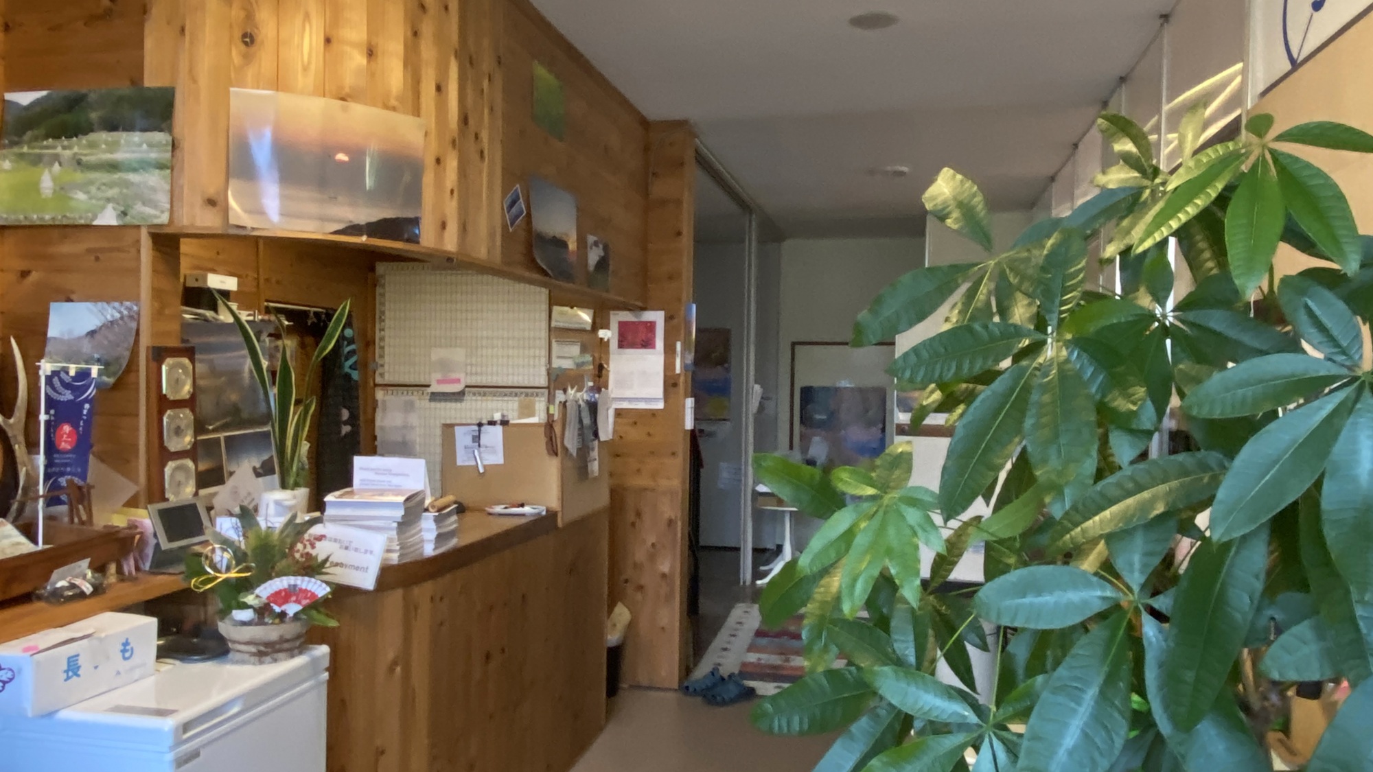 ・【玄関】緑豊かなエントランス。ご来館の際は、まず受付へお越しください