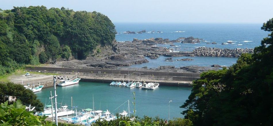 写真1