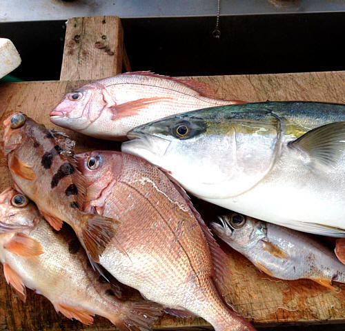 ★★★海まかせ【宿主が拘った伊豆・河津の地魚】を食らいに行くプラン★★★