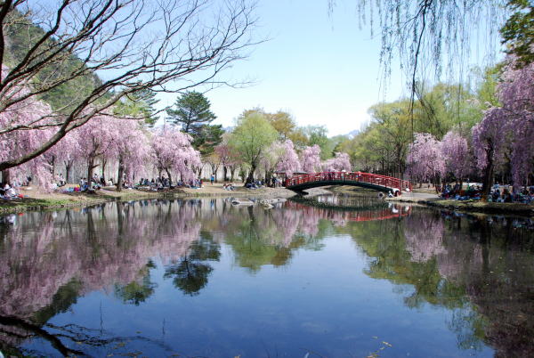 春の景色