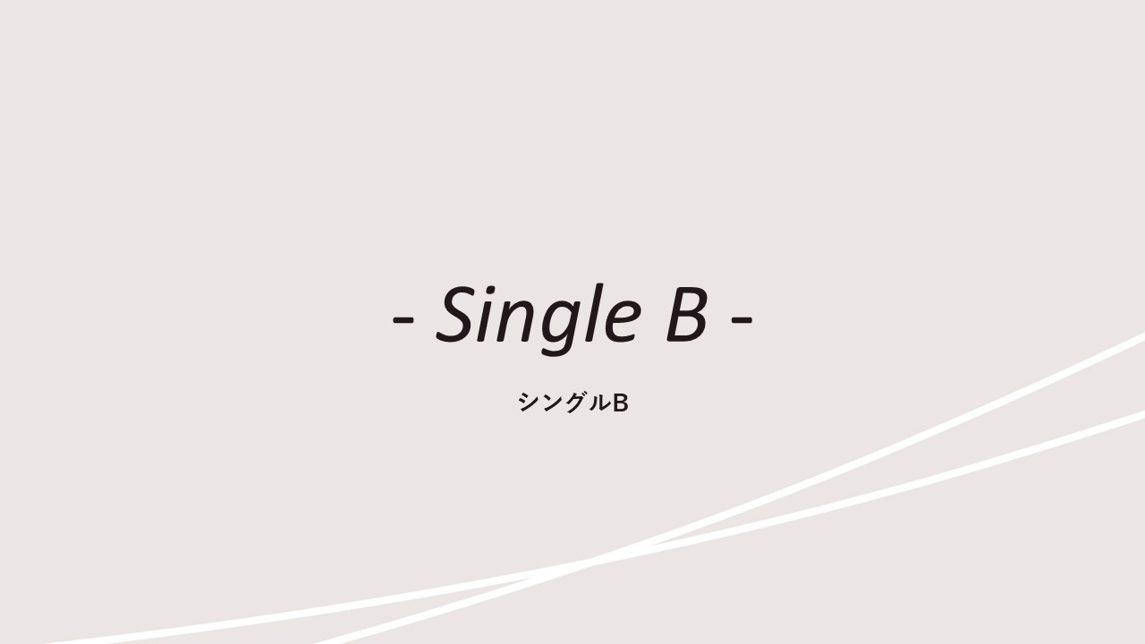 客室紹介(シングルB)