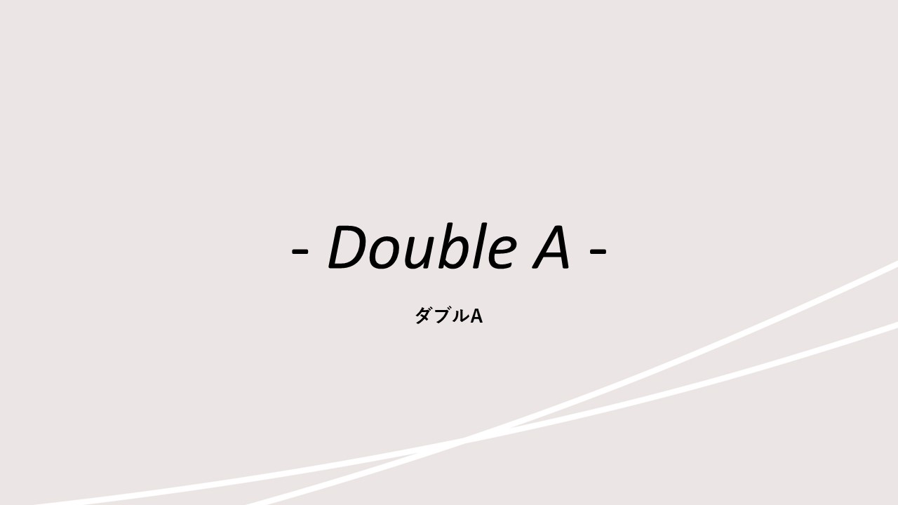 客室紹介(ダブルA)