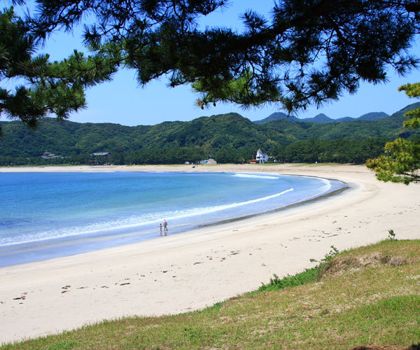 【素泊りプラン】伊豆の温泉旅行をリーズナブルに！！