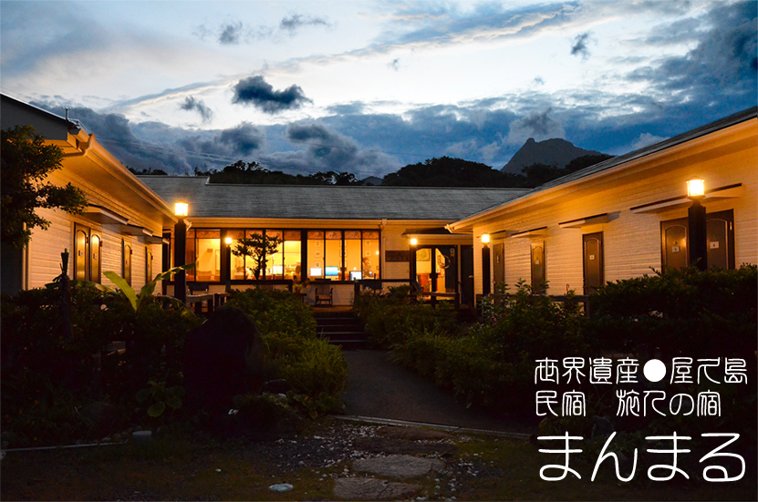 写真1