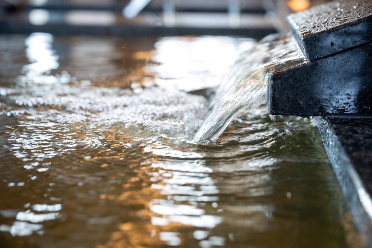 スタンダードプラン