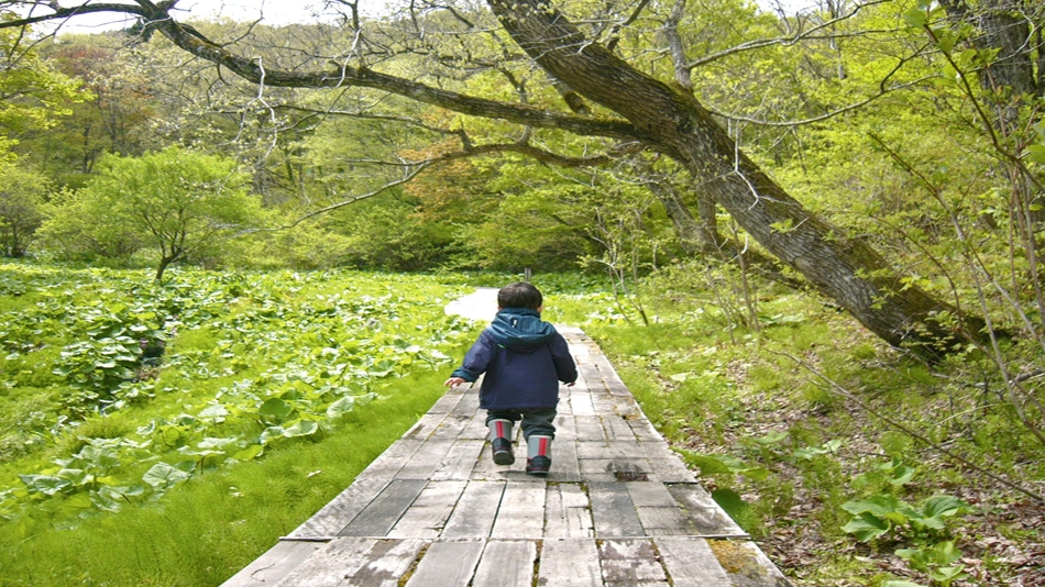 旅館　えびすや