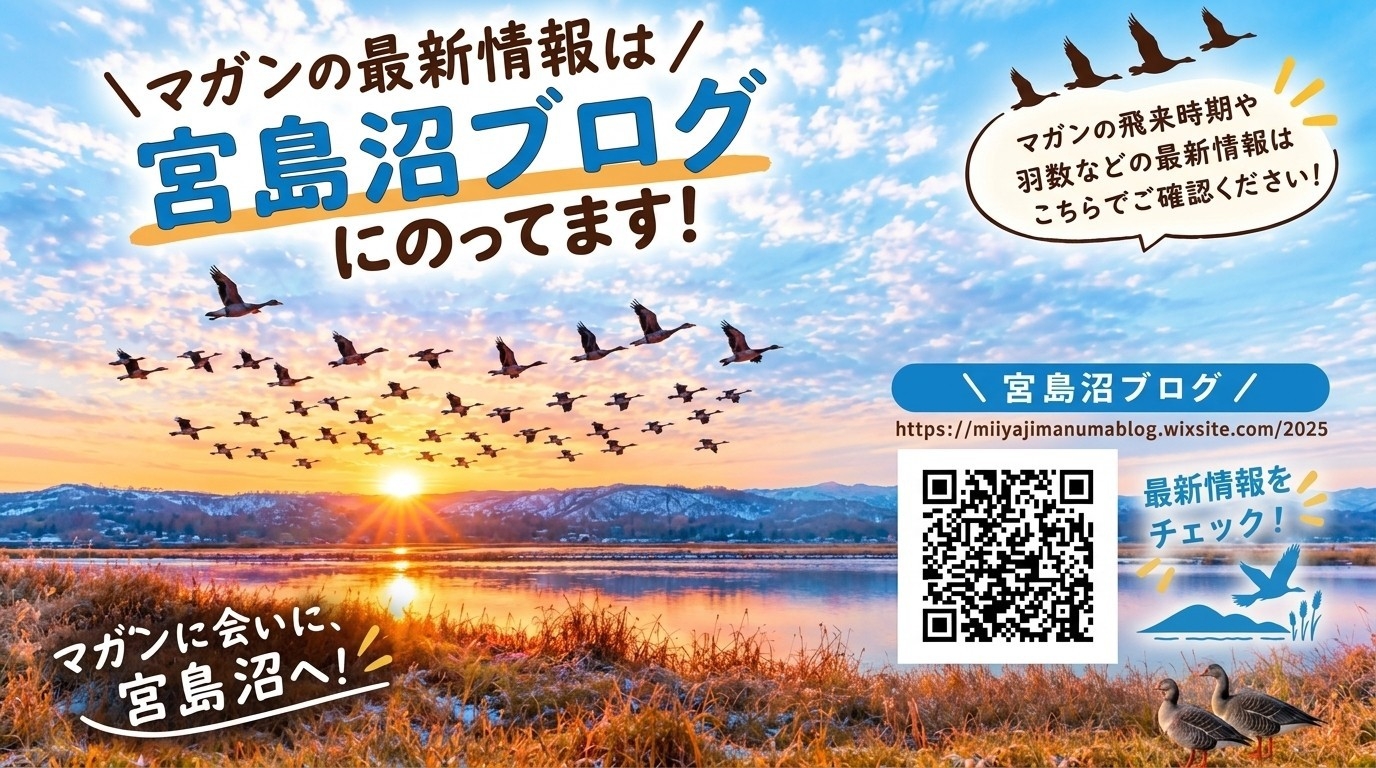 ◆【マガン観察期間限定】＜ぬくもり膳★防寒3大特典付＞数万羽が飛立つ絶景！宮島沼車12分＜夕朝食付＞