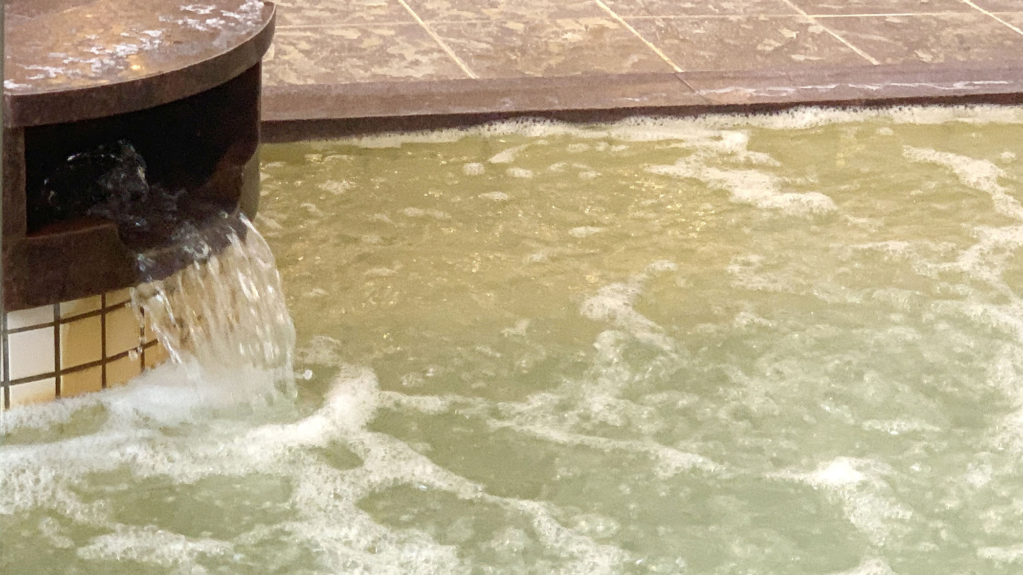 【5％OFF】【楽天スーパーSALE】地元食材を使った全10品！／もみじプラン（2食付き）