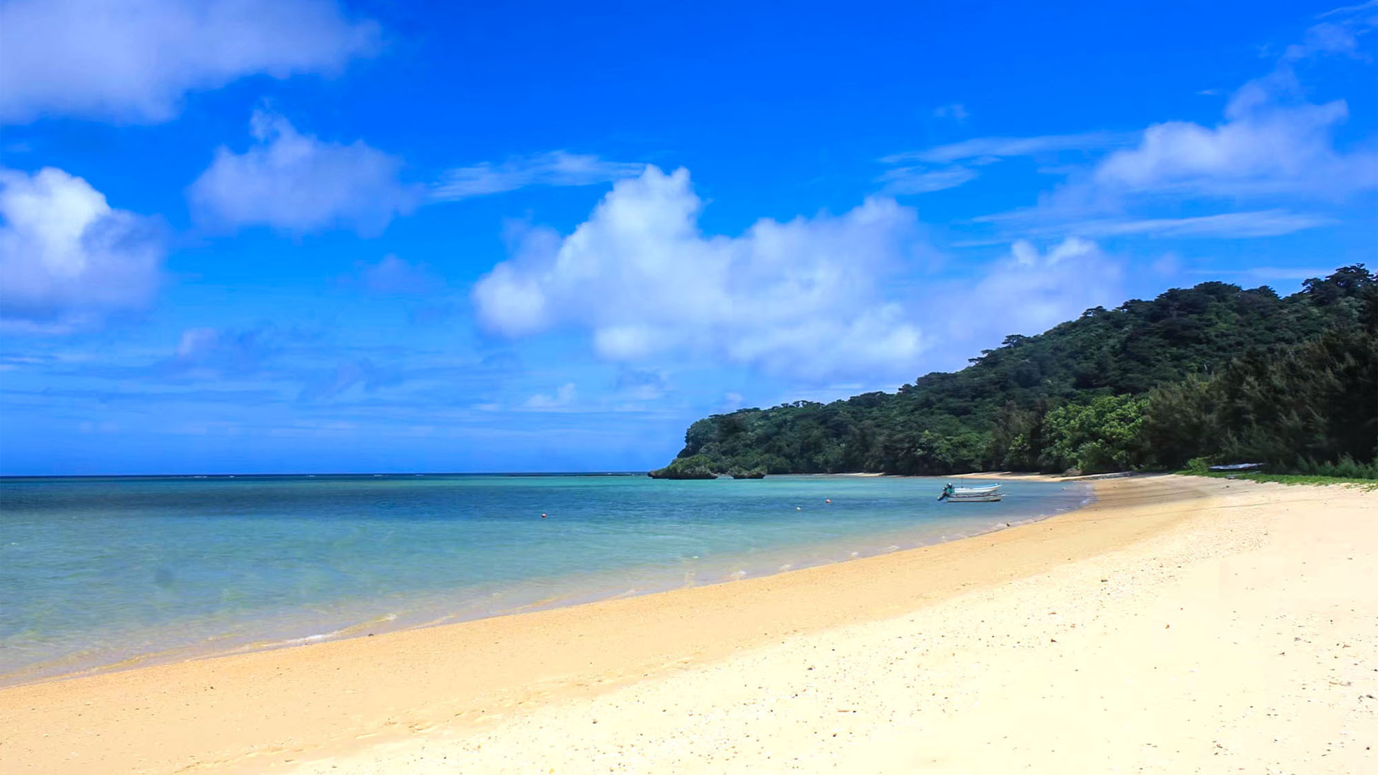 【素泊まり】スタンダードプラン〜沖縄の伝統的な集落でゆったり流れる島時間を愉しむ♪