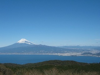 達磨山からの富士