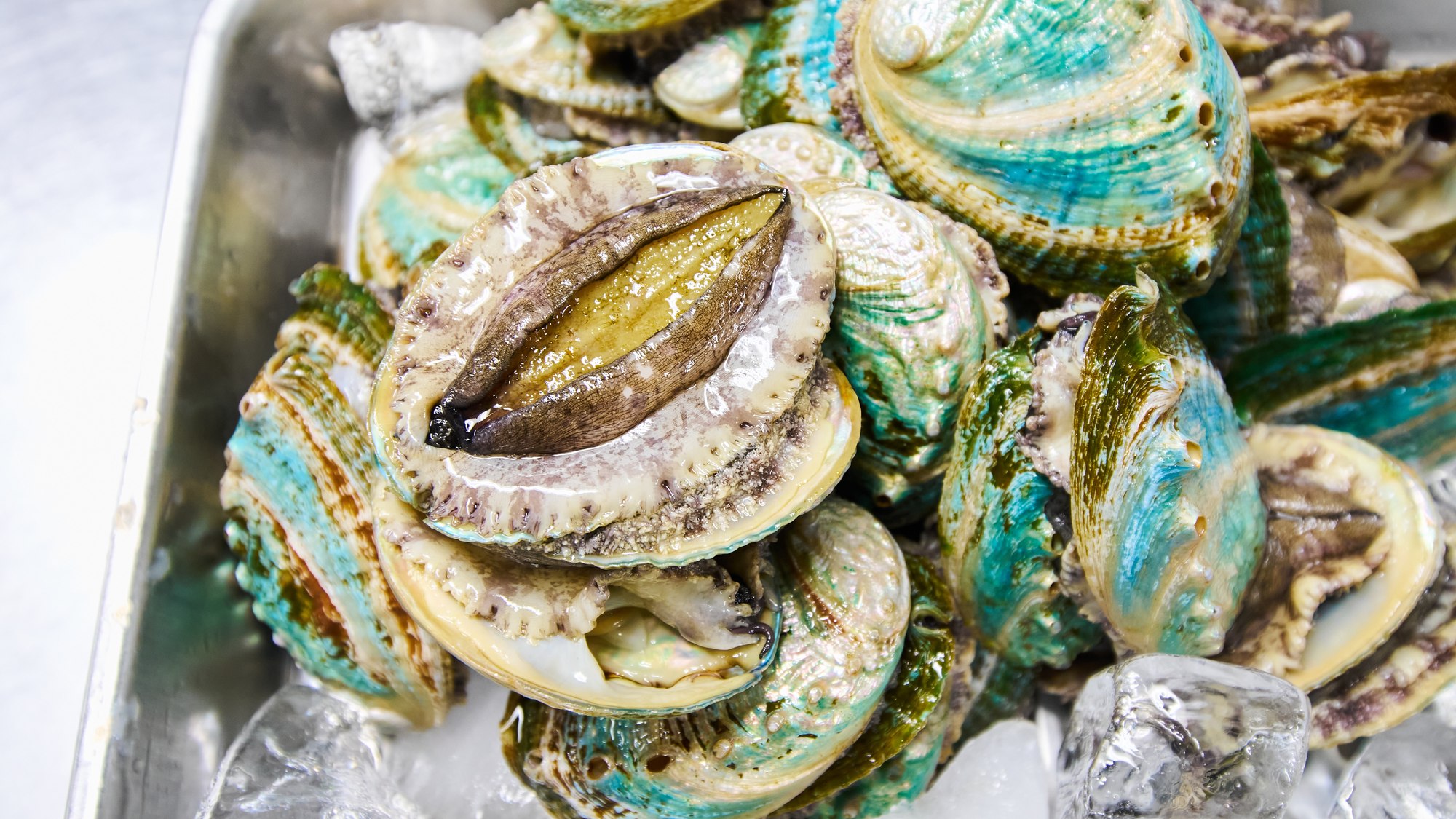 ・【料理一例】五島列島ならではの新鮮で旬の食材を美味しく提供。四季折々の味を楽しんでください