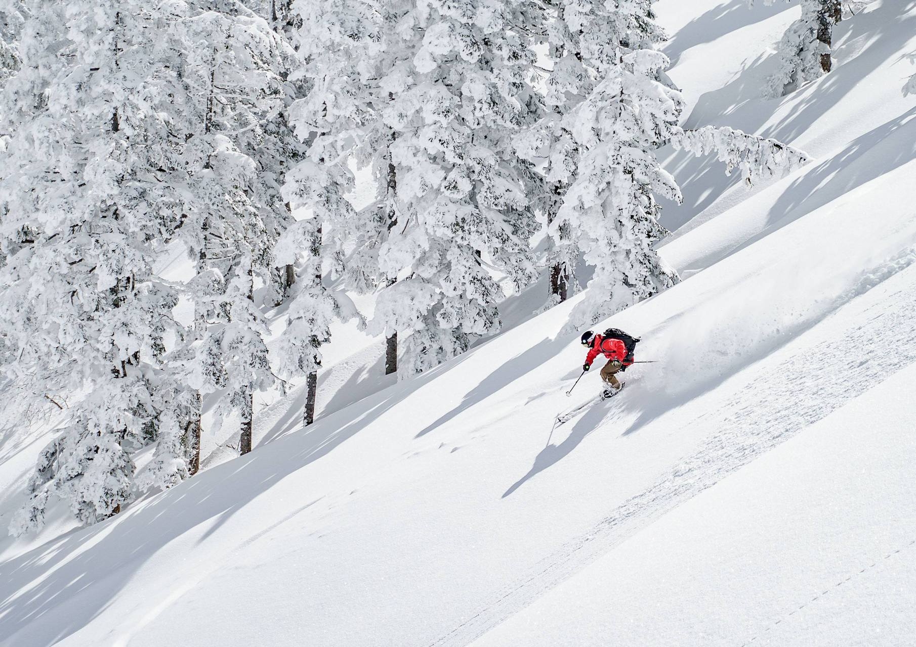 スキー・スノーボード・雪遊びに最適な特典満載・2食付