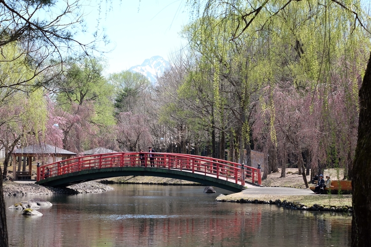 ゴールデンウィークの桜