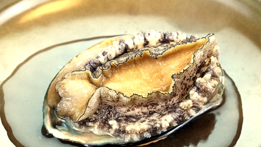 【期間限定】鮑の踊り焼きを1人1個お付けします★館山の旬の海鮮料理を味わう-2食付-