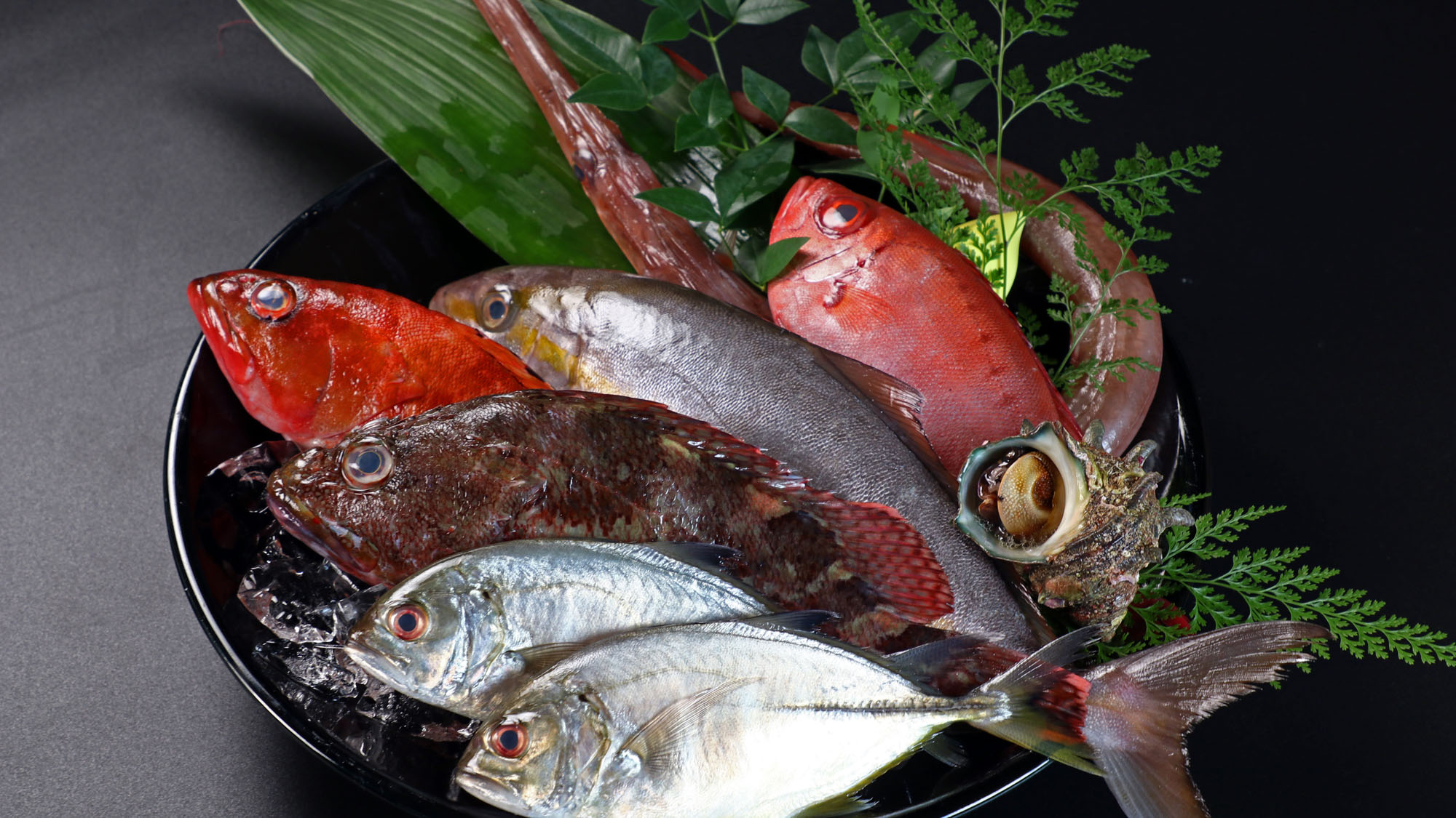 食材◆地元房総の地魚。館山の市場で仕入れた季節の地魚をお楽しみください*