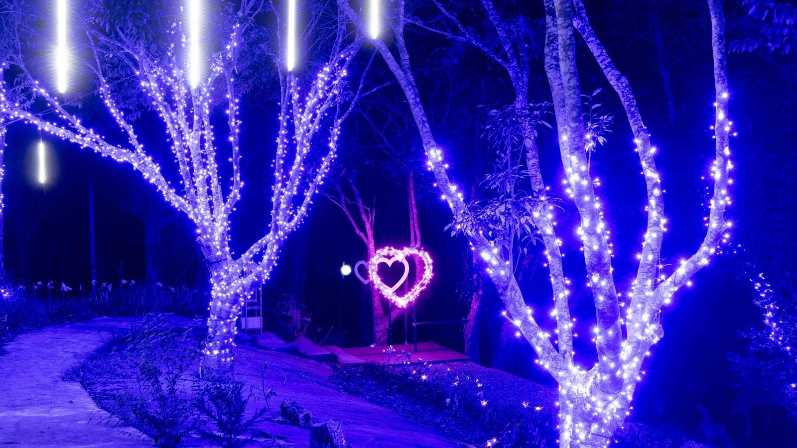 イルミネーション