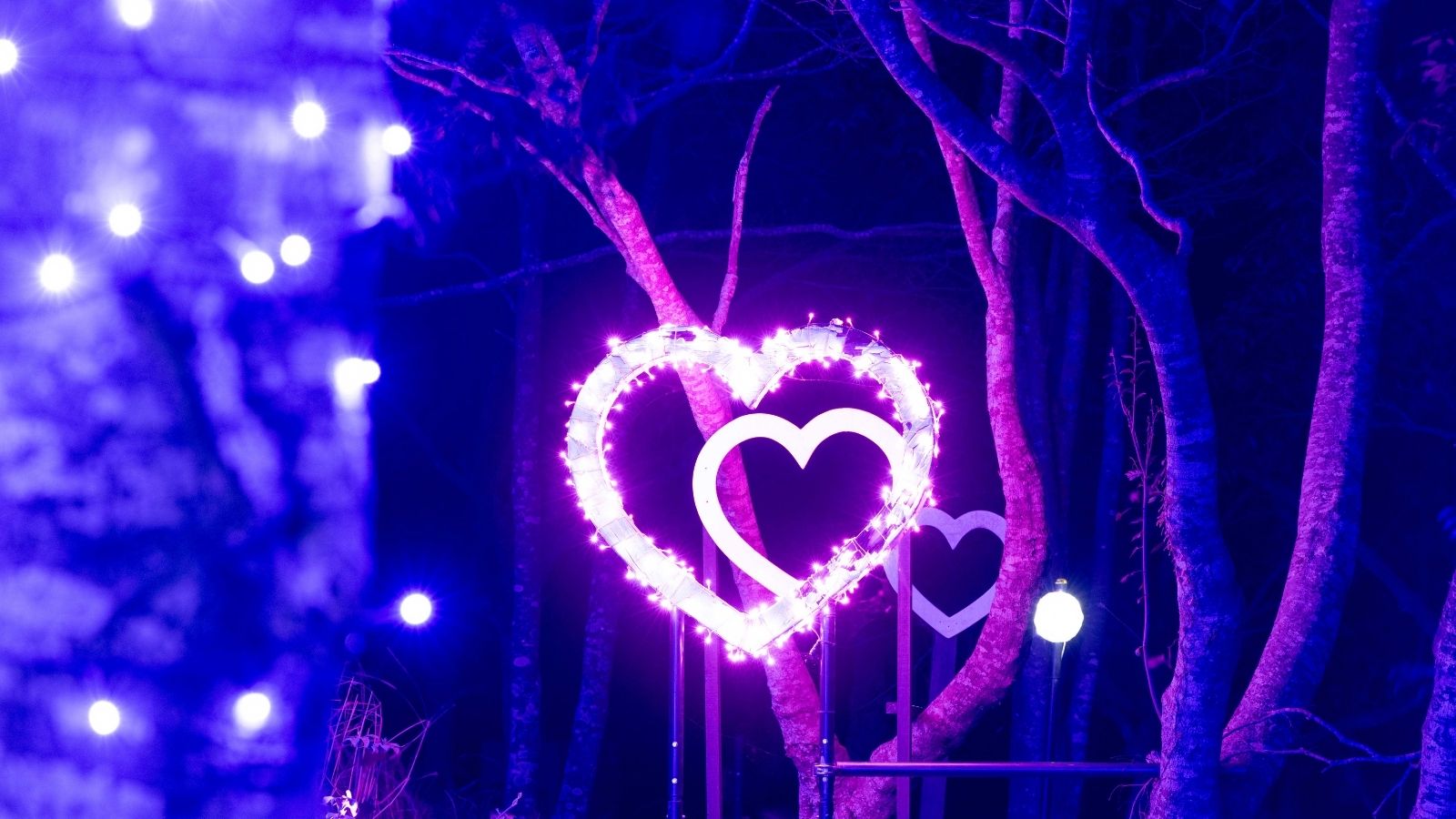 イルミネーション