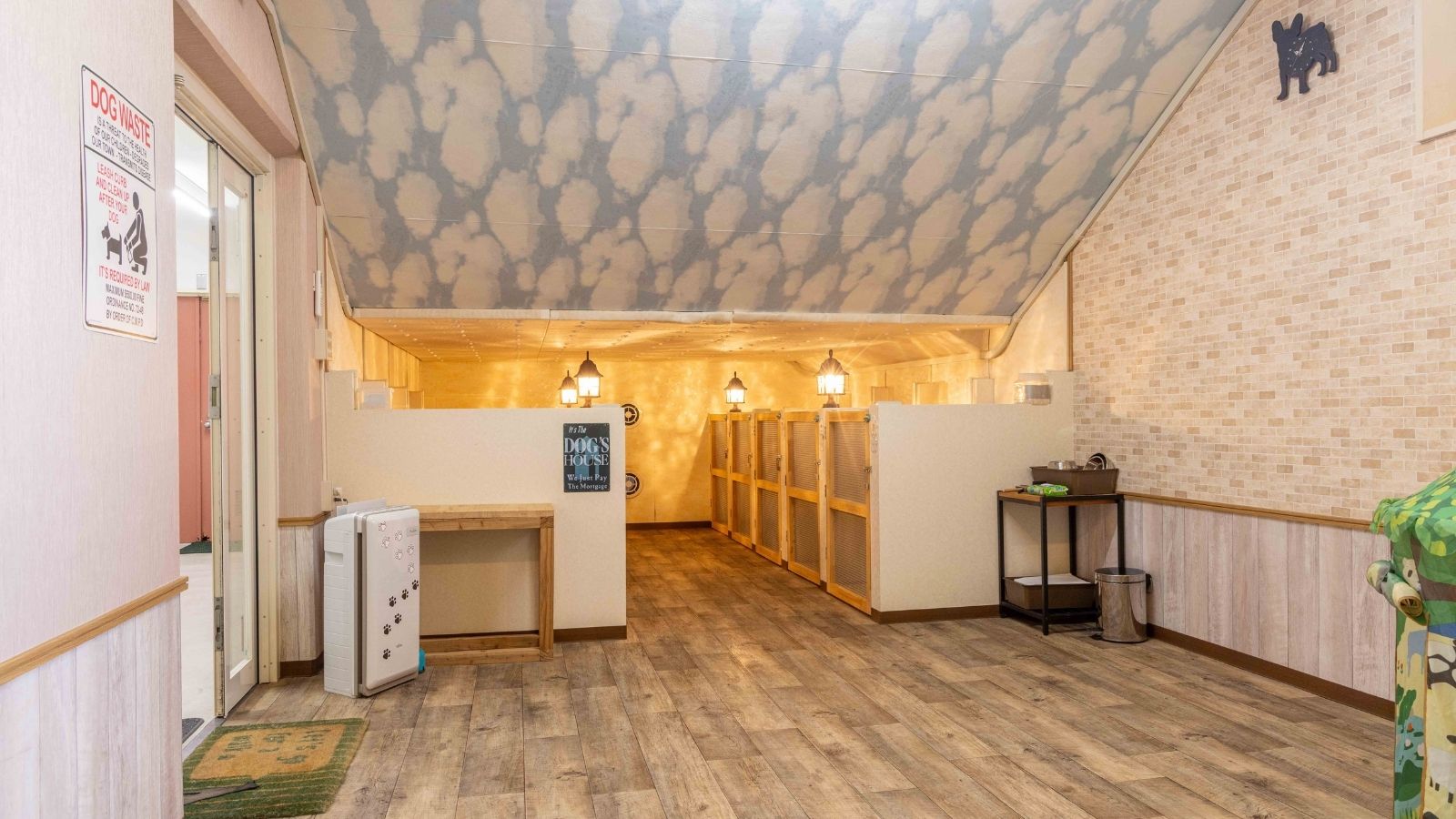 愛犬パラダイス