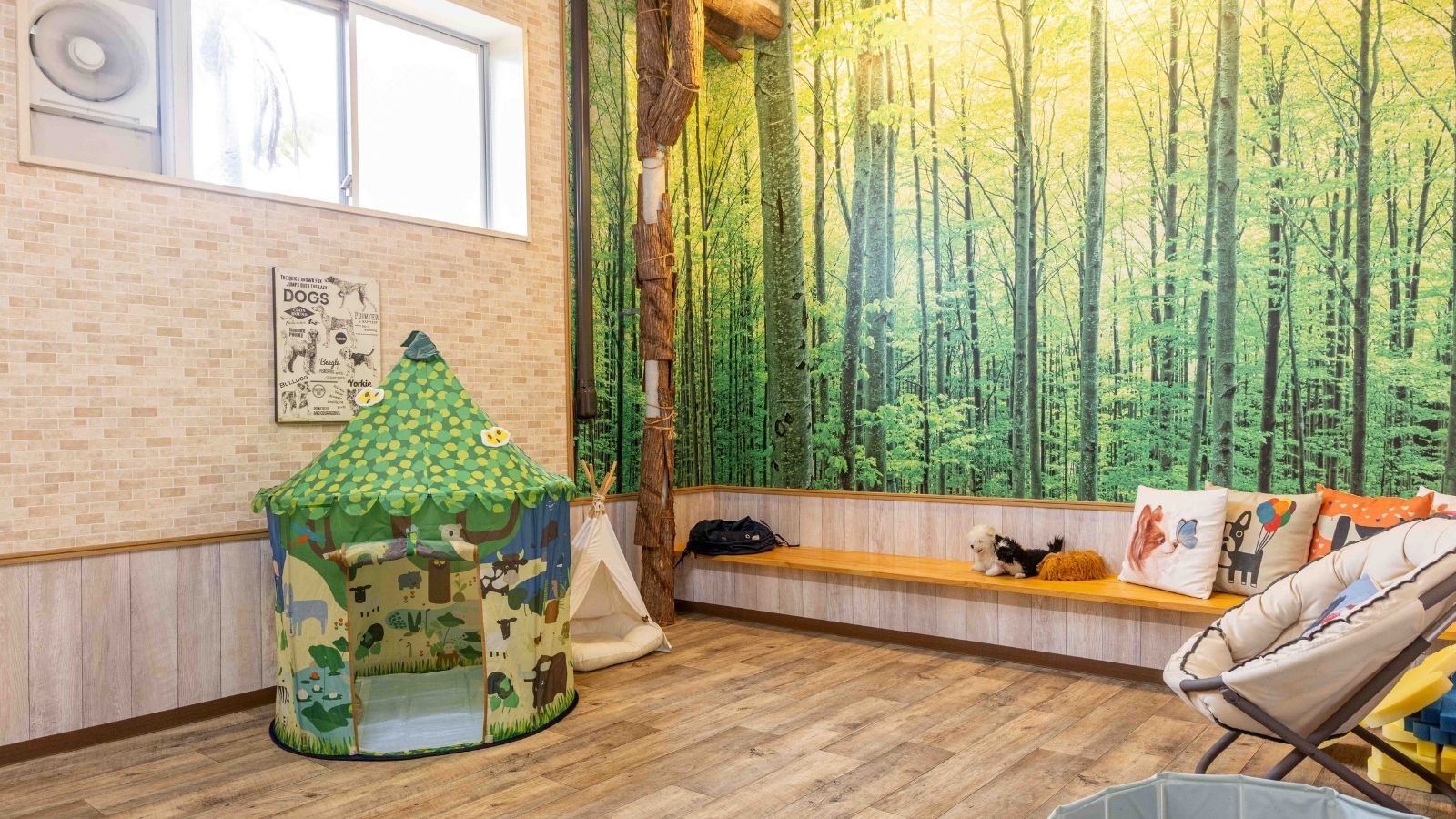 愛犬パラダイス