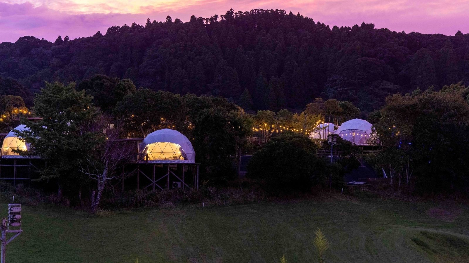 グランピングエリア