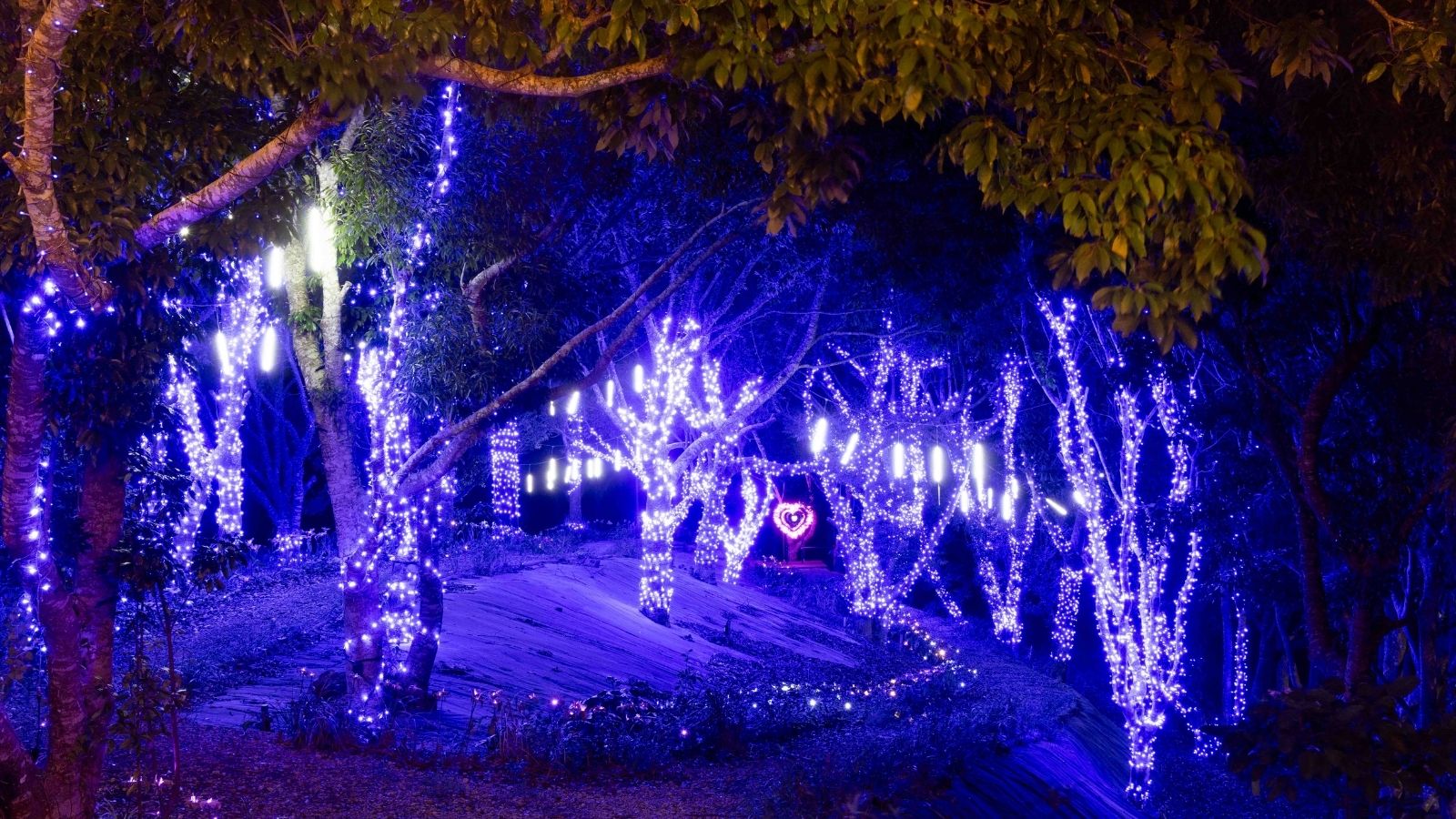 イルミネーション