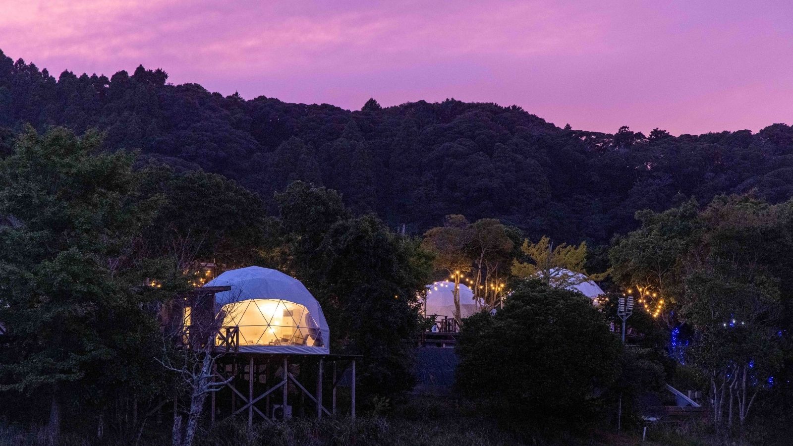 グランピングエリア