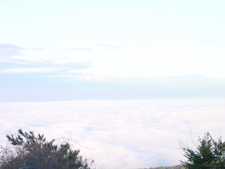 雲海