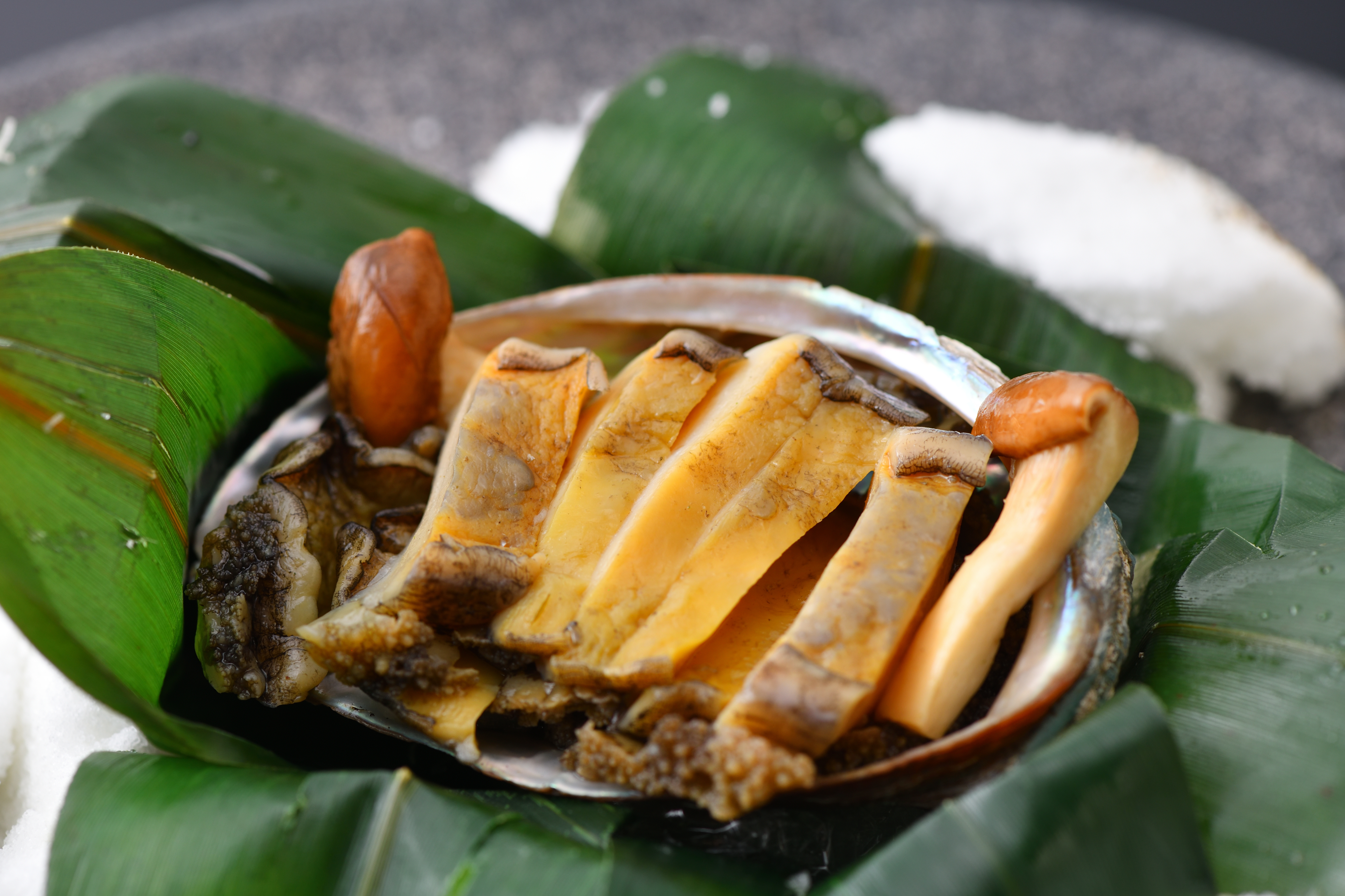 活鮑一逸料理一例