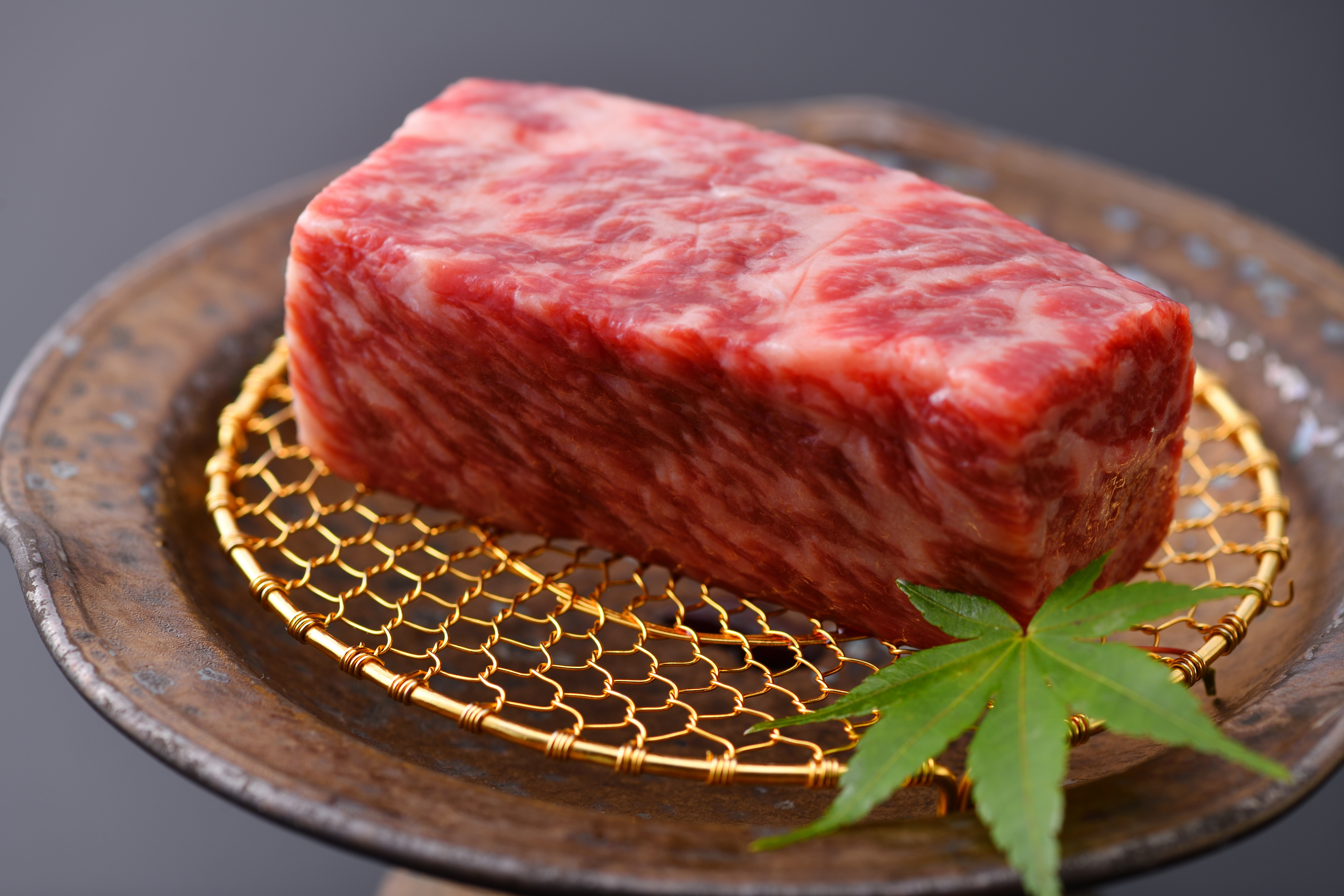 ブランド牛極上ヒレ肉