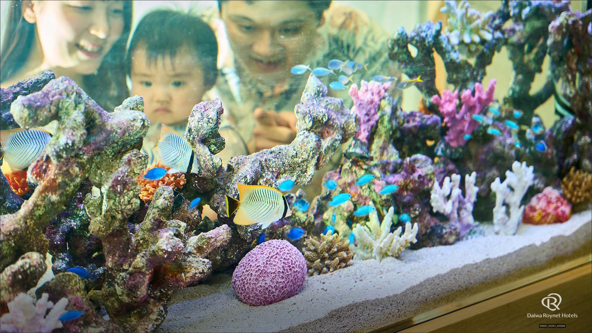 2階　アクアリウム