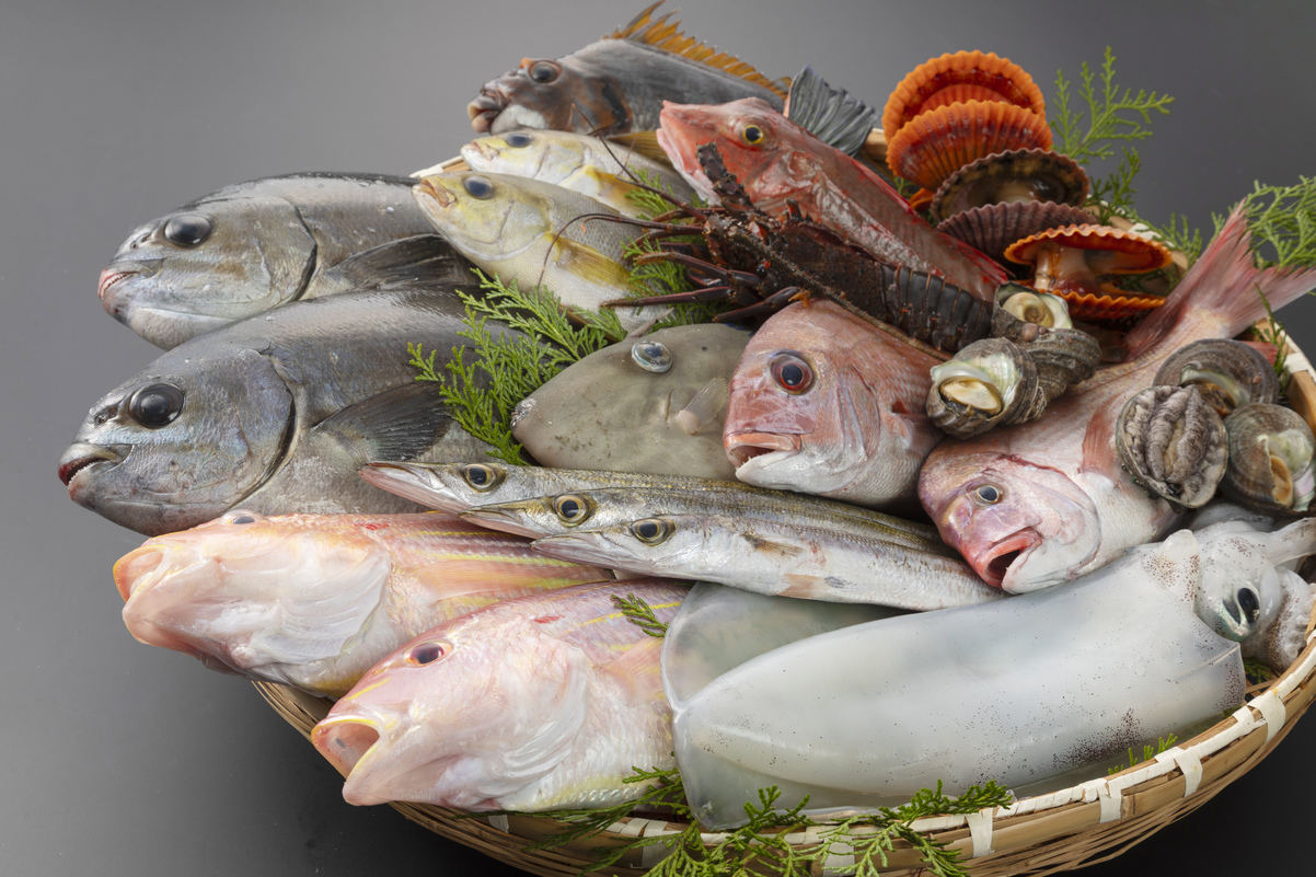 【楽天スーパーSALE】【1泊夕食付◇スタンダード和会席】夕食は海の幸満喫＆朝はのんびり♪夕食のみ