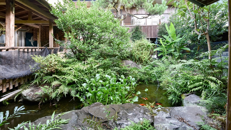 *【施設一例：中庭】緑がいっぱいの中庭には、鯉の姿も。
