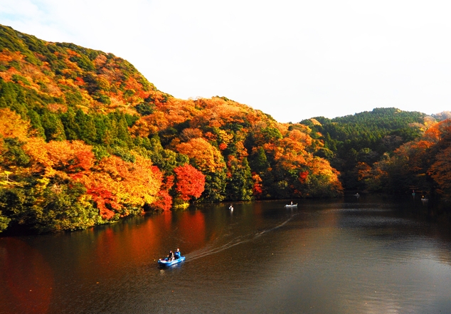 【期間限定★紅葉クルーズ】◆乗船券付◆亀山湖で紅葉狩り＆季節の田舎懐石をご堪能♪≪1泊2食付≫