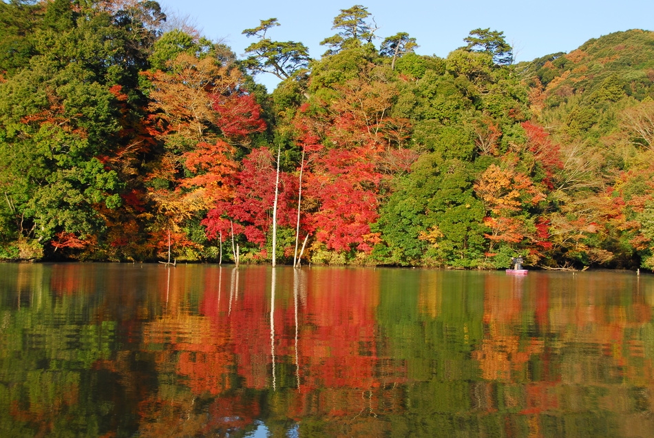 【期間限定★紅葉クルーズ】◆乗船券付◆亀山湖で紅葉狩り＆季節の田舎懐石をご堪能♪≪1泊2食付≫