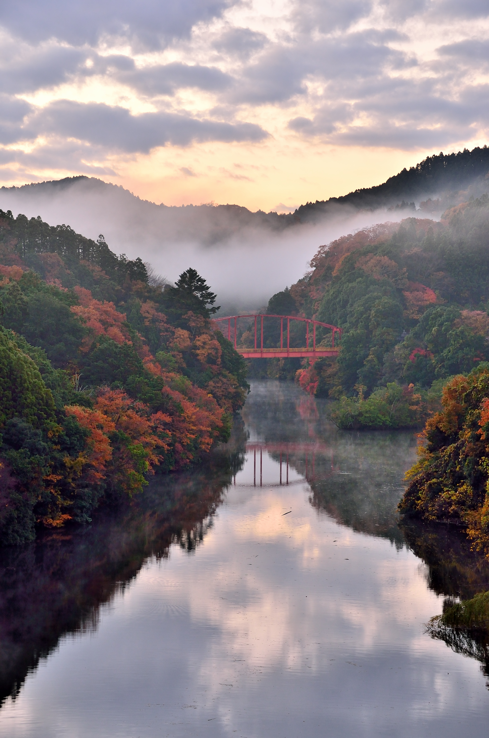 朝靄と紅葉