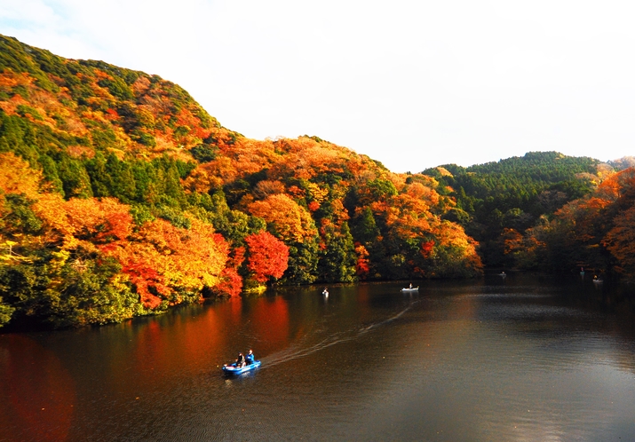 亀山湖　午後の水辺