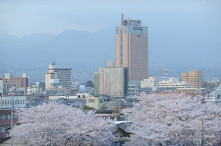 【ラシーネ館内からの風景】春、県庁が見えます。