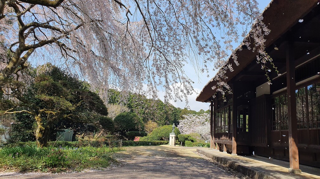 【秩父宮家記念公園入園券＆駐車券付】富士山の伏流水とともに始まる銀明翠の和朝食付プラン