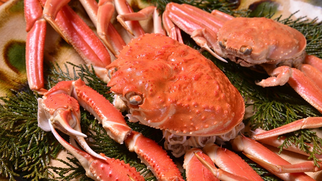 リーズナブルに蟹を満喫★蟹鍋+ゆでガニ1杯+焼きガニプラン