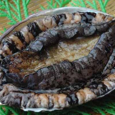 Abalone 3