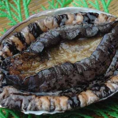 【またきてな関西旅】山海のグルメに舌鼓♪踊るアワビ＆鳥取和牛すき焼き