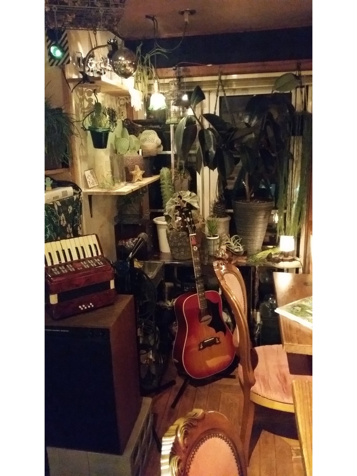 【全２室　寛ぎの宿　展望プライベートテラス付】鉄板！〜游楽食花〜自由飛行館のグリーンシーズンプラン
