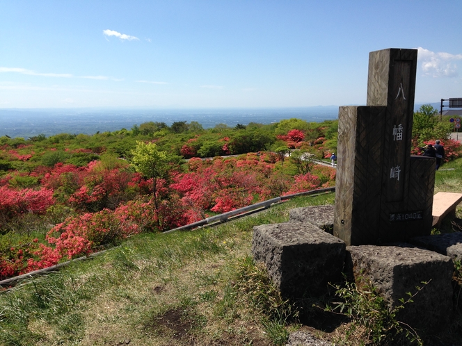 八幡のつつじ